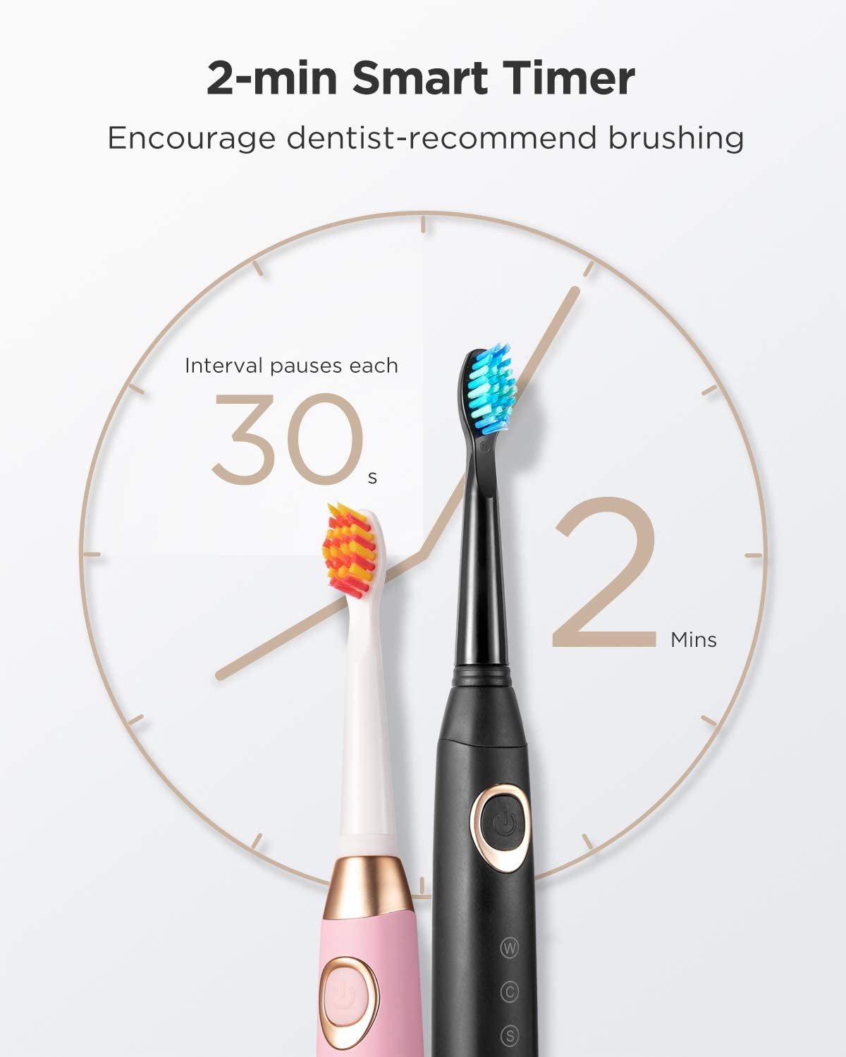 Fairywill Sonic Electric Toothbrush ADA Accepted FW508 Smart Timer Combination USB Rechargeable for Adult Dental Healthy Modes