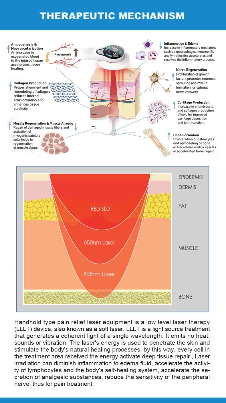 New upgrade 650nm 808nm Cold Light Powerful Handheld Physical Therapy Home Laser Pain Relief Cold Laser Therapy Device