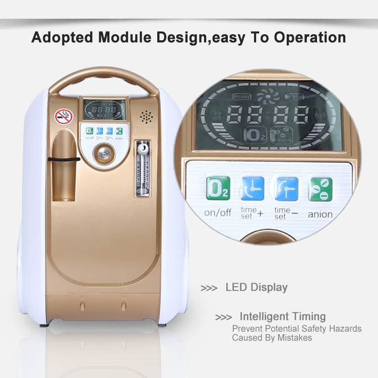 Portable Household Oxygen Concentrator Generator Battery Oxygen Bar with Car Adpator Carry Bag Trolley Oxygen Inhaler