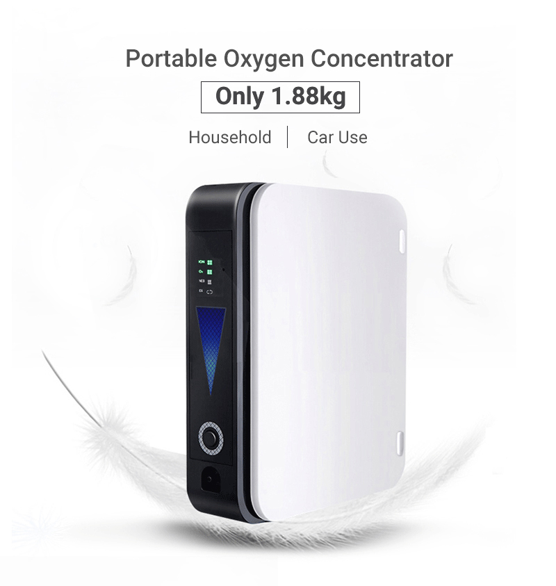 1L/min Portable Oxygen Concentrator Generator Household Atomizer Oxygen Inhaler Portable Negative Ion Oxygen Machine For Car